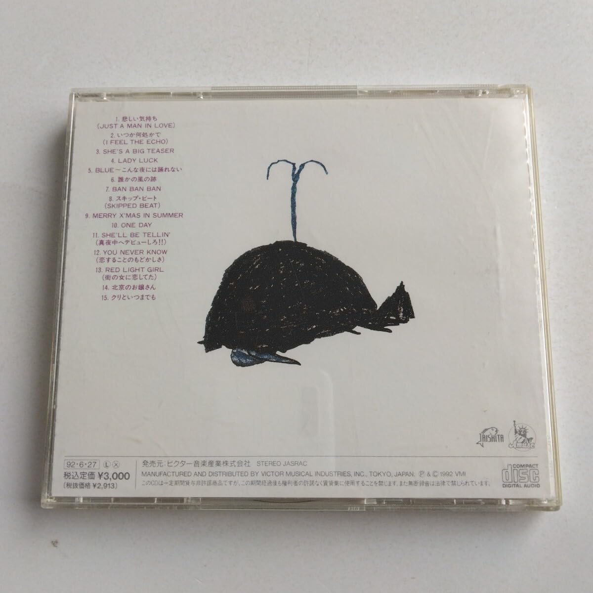 桑田佳祐 哀しみのプリズナー 今でも君を愛してる いつか何処かで 悲しい